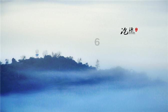 救援非洲金猫