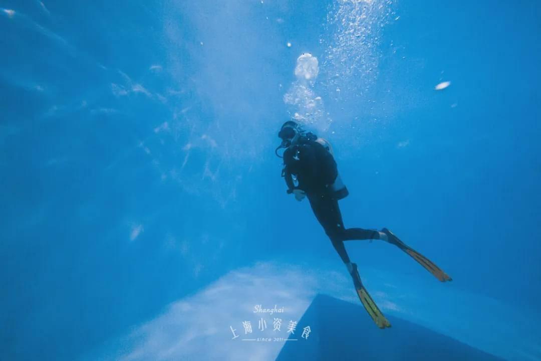 救援小巨鳄