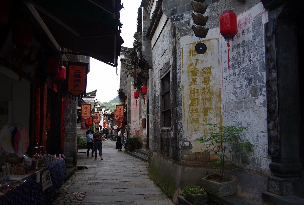 救援大嘴鸟